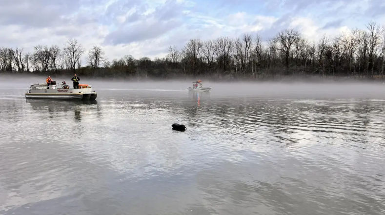 33-year-old woman found dead in van in Cumberland River identified